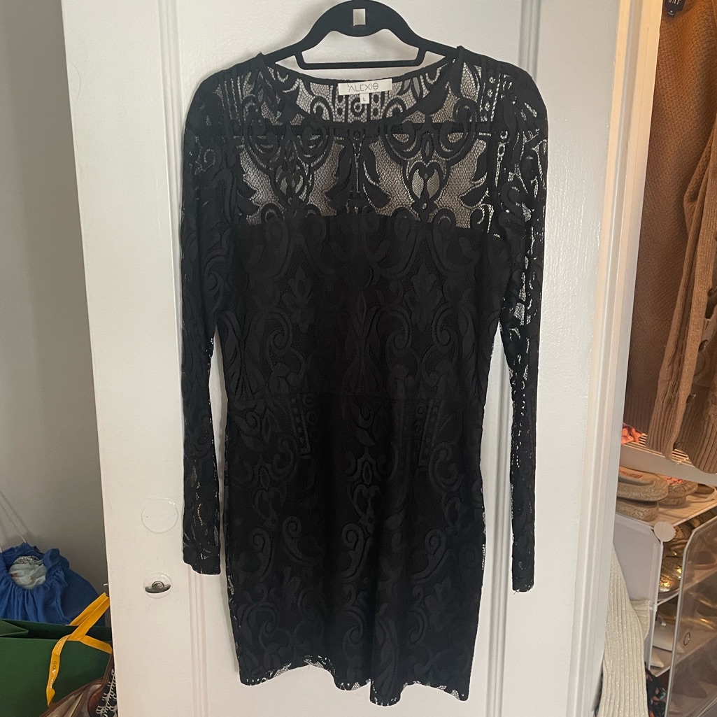 Alexis Black Lace Mini Dress